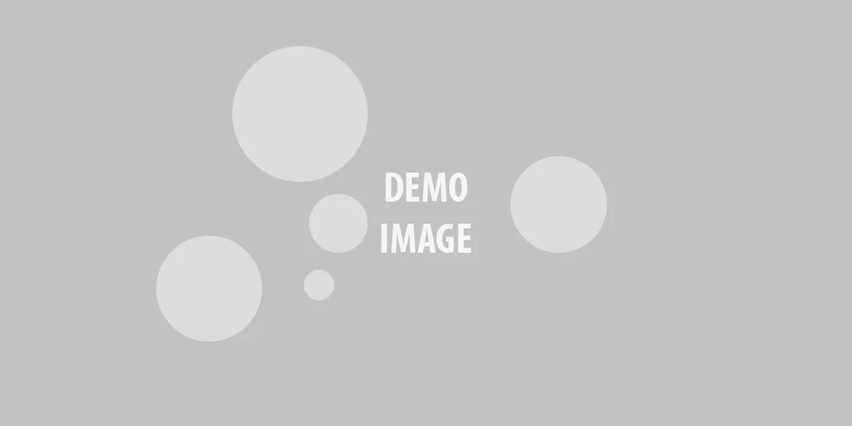 Sample article number 15